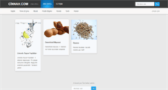 Desktop Screenshot of cinnah.com